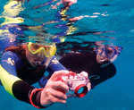 Intro Digital Underwater Photo Workshop (1 Day)