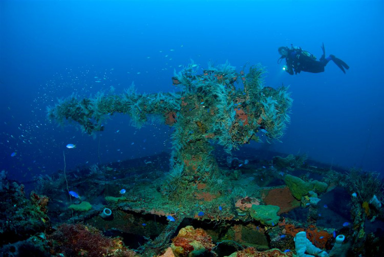 Bow Gun at 50m, Chuuk Lagoon