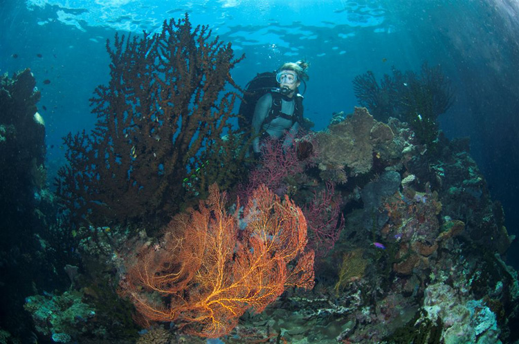 Cherie exploring Deacons Reef - PNG