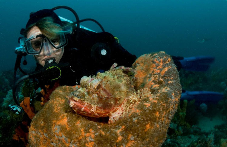 Scorpionfish & Cherie