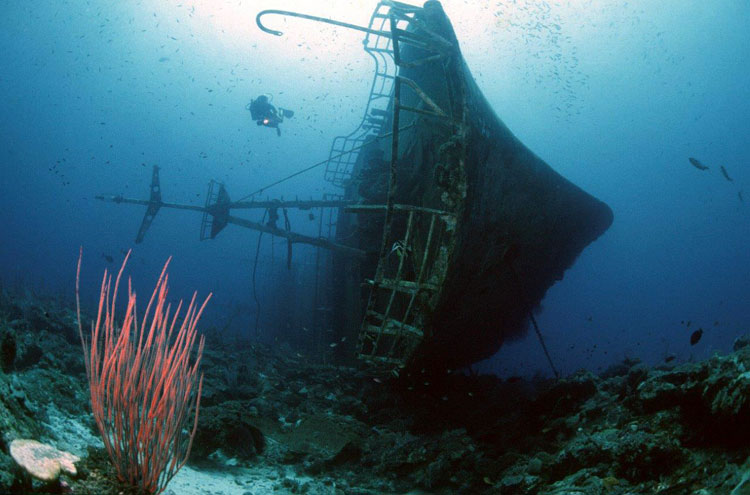 Shipwreck Dar-Yang Papua New Guinea